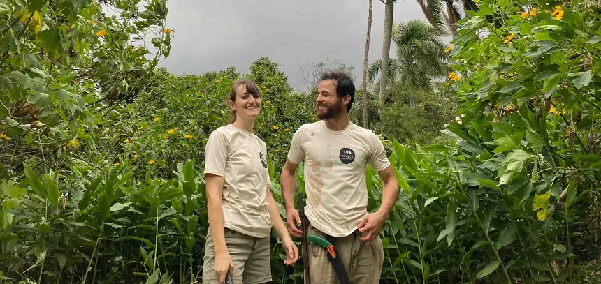 Muvuca Agroflorestal: 1 dia de trabalho por semana 100% automatizado